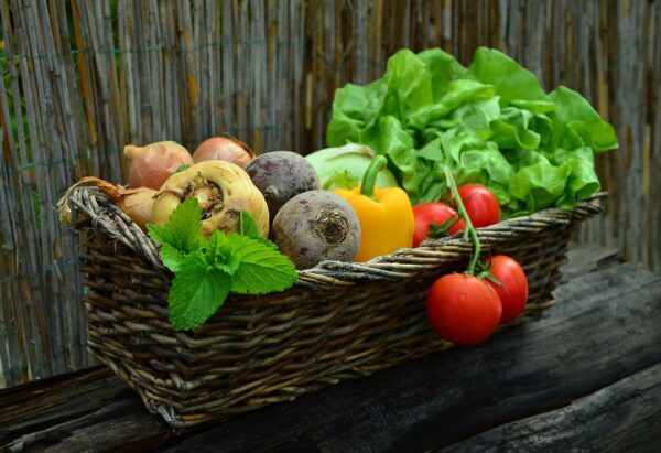 Aggiornamento Haccp per Addetti (3 ore)
